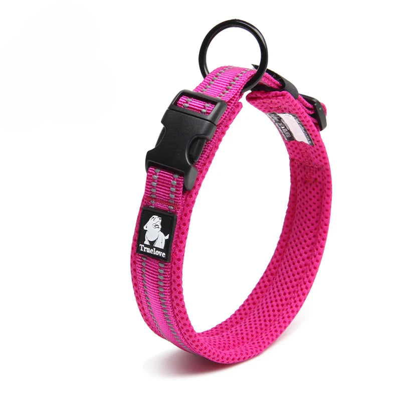Winhyepet Nylon Padded Dog Walking Collar With Buckle