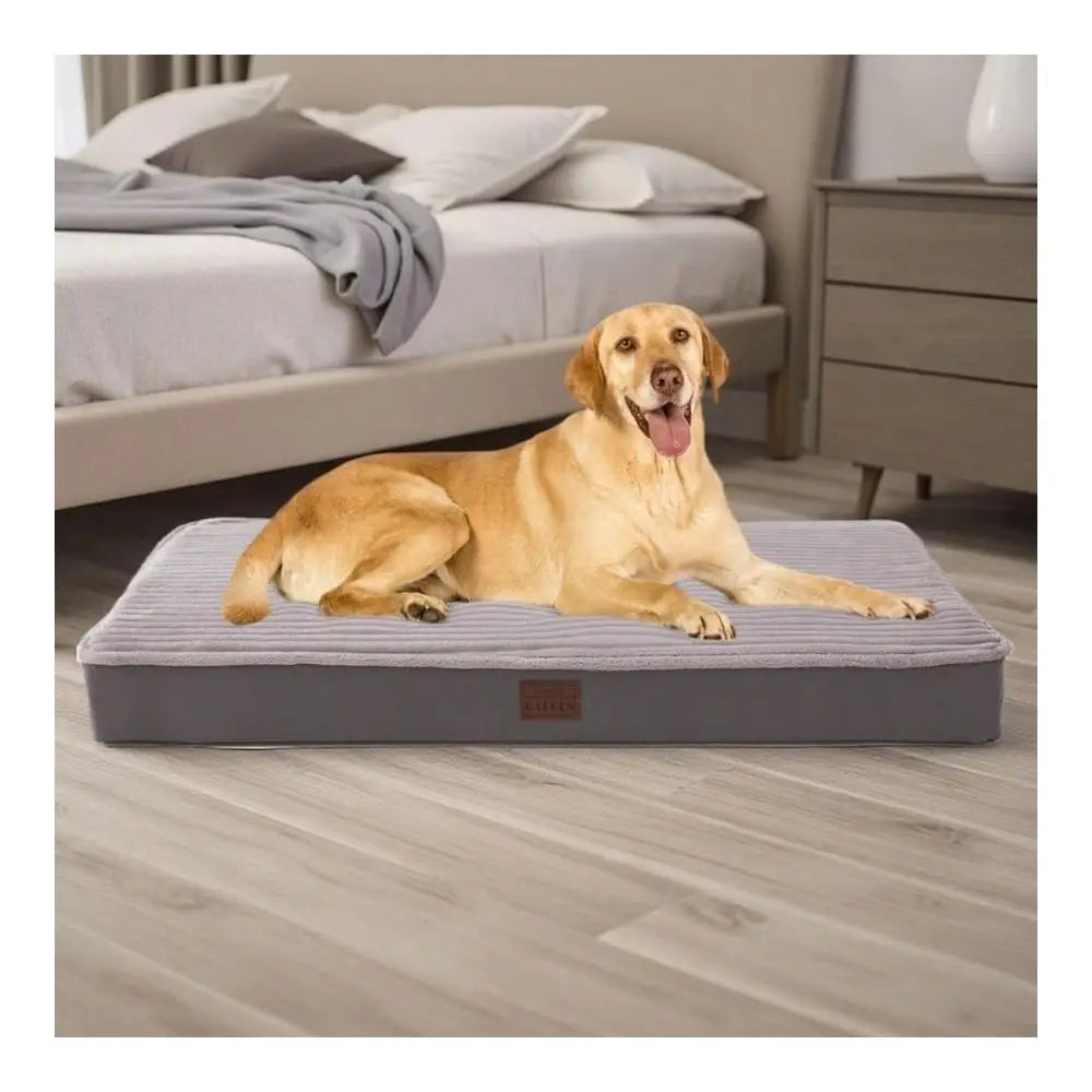 Dog Bed With Waterproof Removable Cover And Egg Crate Foam