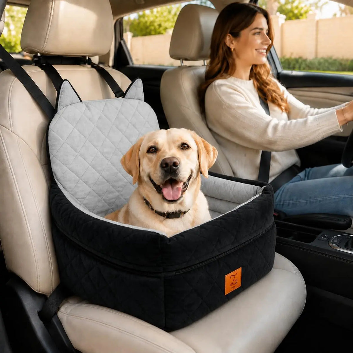 Dog Car Seat Booster With Safety Belt And Washable Cover