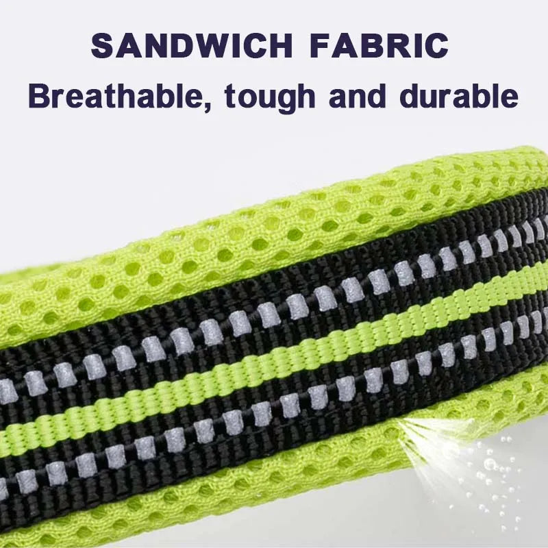 Winhyepet Nylon Padded Dog Walking Collar With Buckle