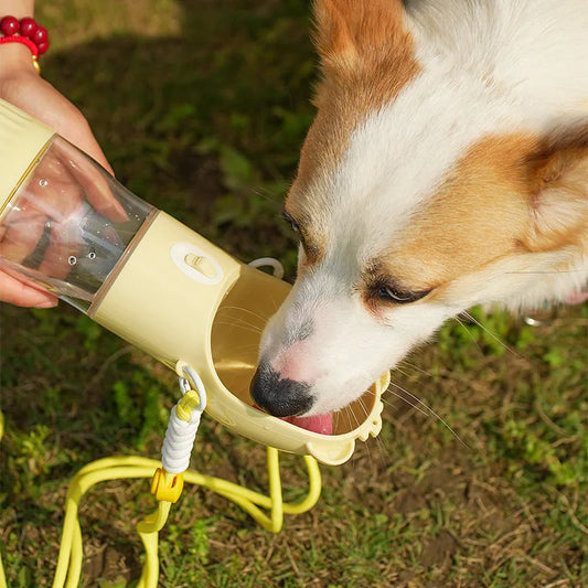 Leakproof Portable Dog Water Bottle With Bowl Travel