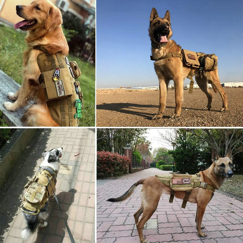Petravel 12 Piece Personalized Tactical Patch Bundle For Dog Vest