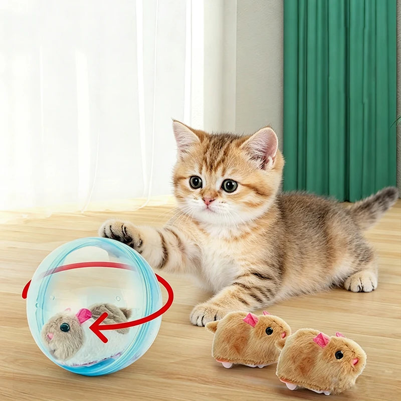 Electric Transparent Rolling Hamster Ball Small Pet Exercise Toy