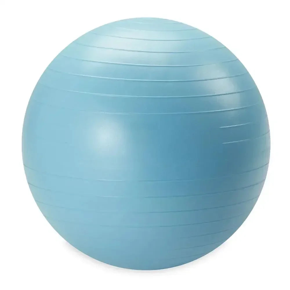 Weighted Stability Ball With Pump For Exercise And Balance