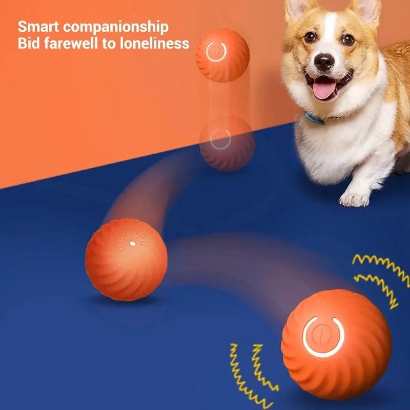 Automatic Moving Bouncing Ball USB Interactive Puppy Dog Toy