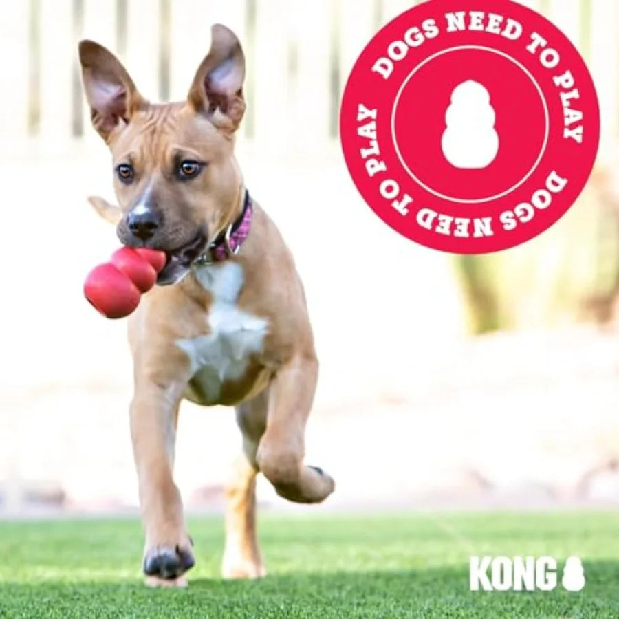 Yao Hui Huang Classic Ziggies Treats Dog Chew Toy Combo