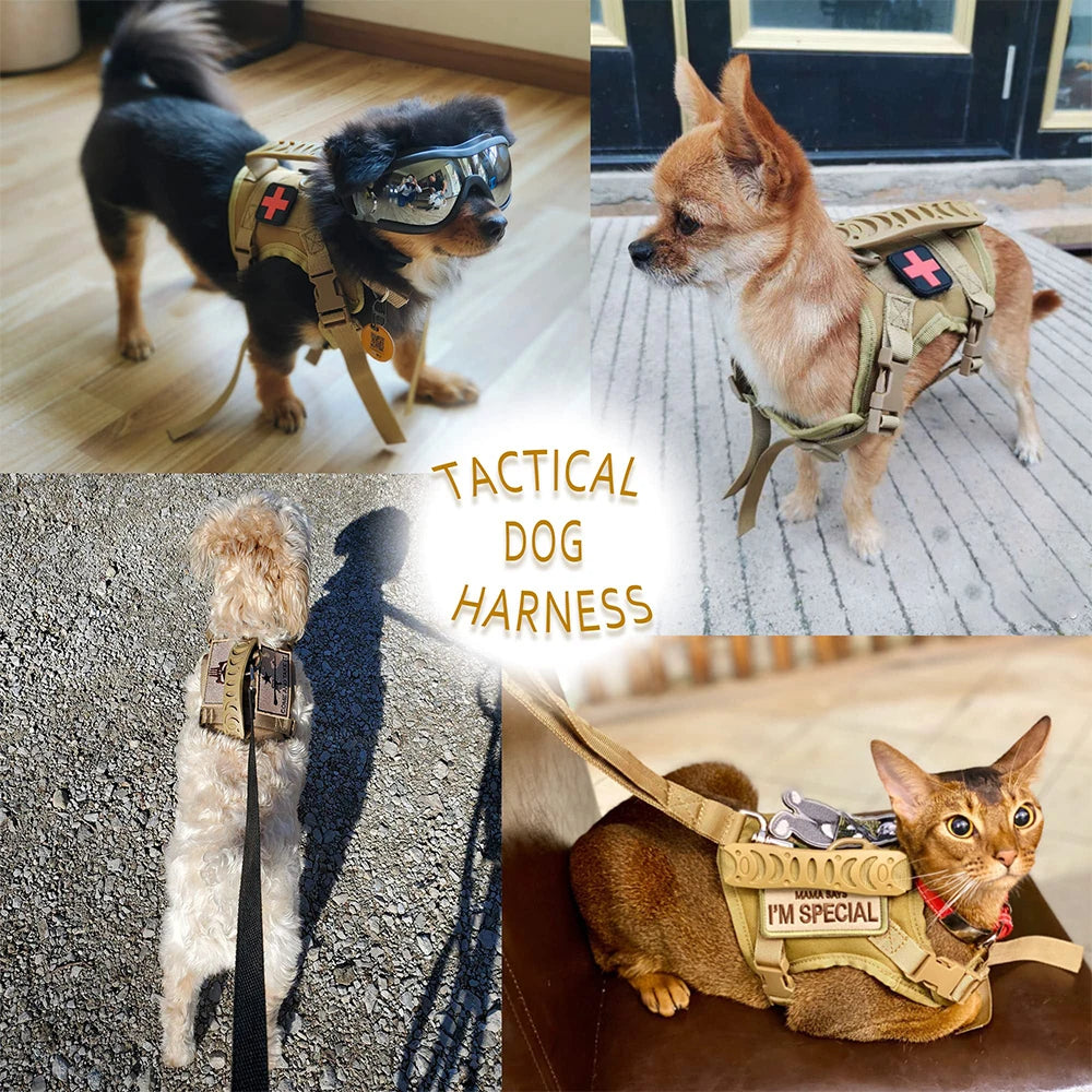 PETRAVEL Tactical Puppy Harness Leash Set For Small Dogs Training
