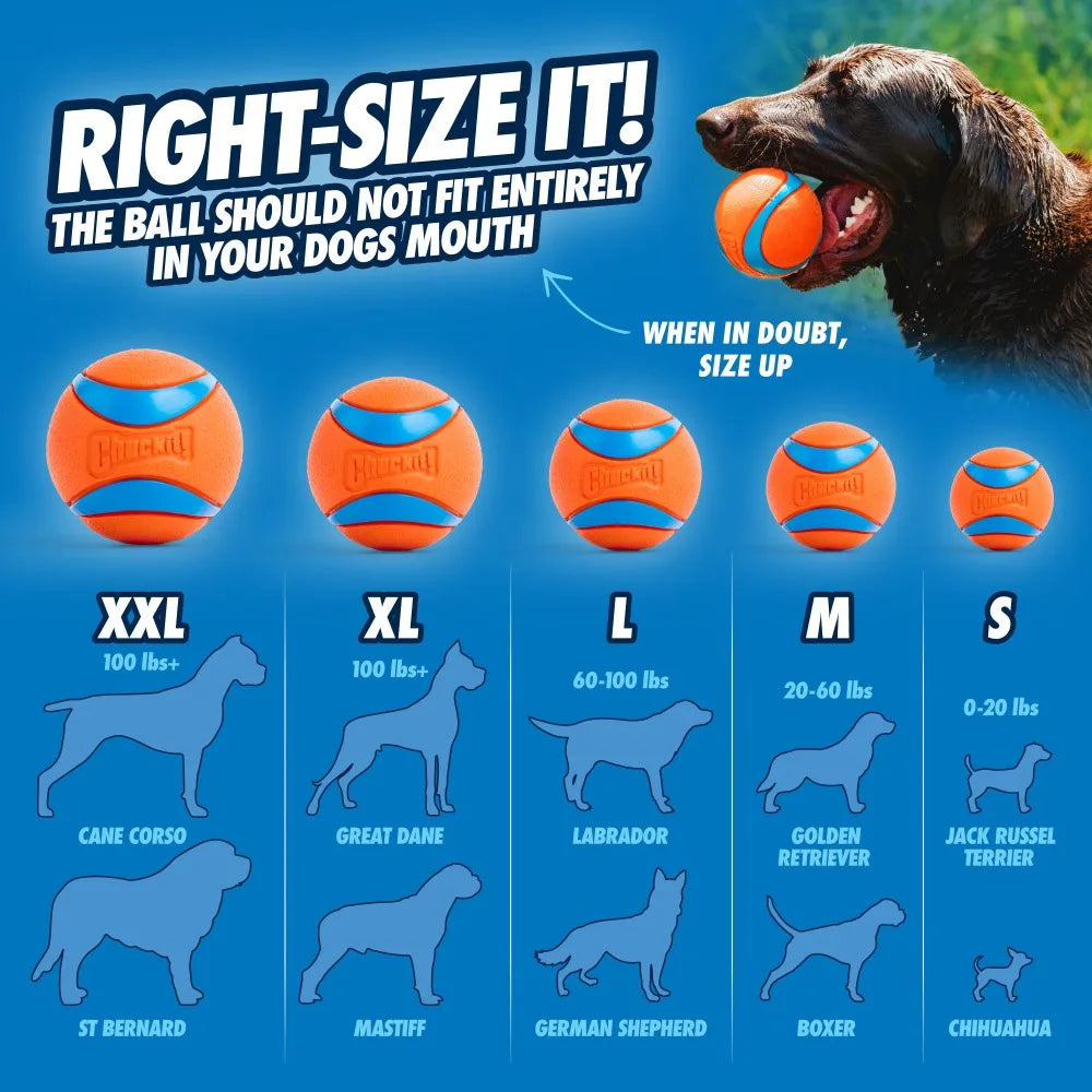 Interactive Dog Tug Toy With Ball And Strap For Aggressive Chewers