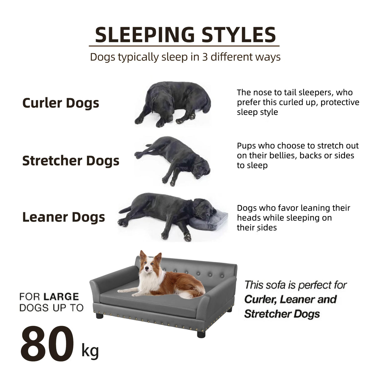 BINGOPAW Elevated Dog Sofa Bed With Waterproof Microfiber Cover