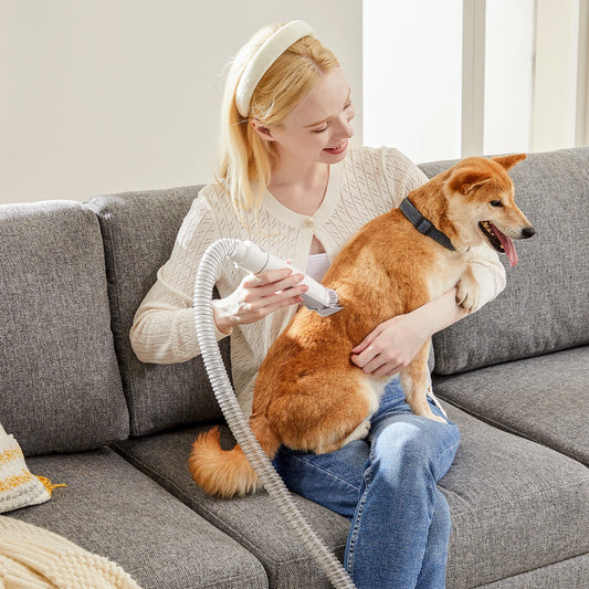 Pet Grooming Vacuum Kit Cordless Low Noise Clippers For Cats