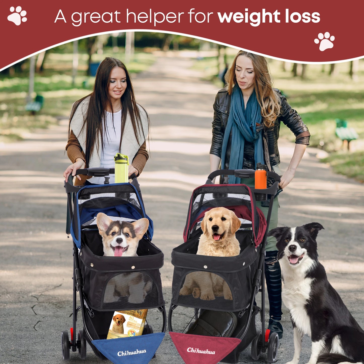 Chihuahua Pet Stroller Foldable for Small Medium Cats and Dogs