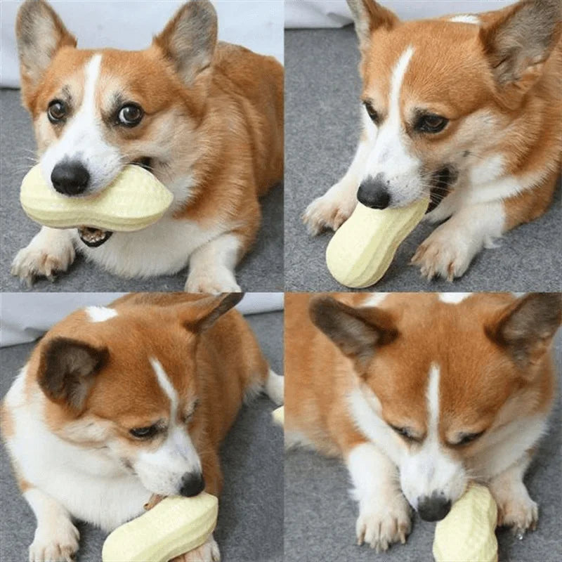 Dog Peanut Squeaking Chew Toy TPR Rubber Interactive Pet Toy
