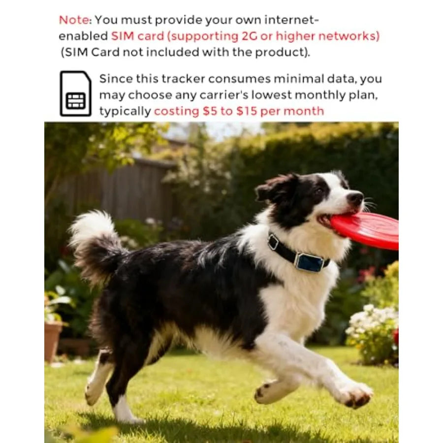 Smart GPS Dog Tracker With Virtual Fence Live Tracking And 10 Day Battery Life
