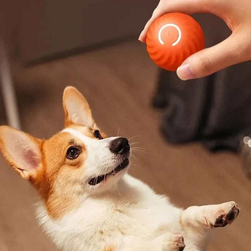 Automatic Moving Bouncing Ball USB Interactive Puppy Dog Toy