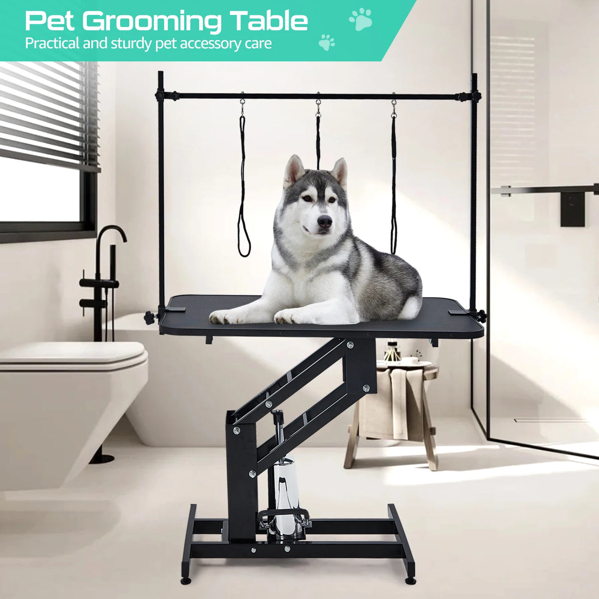 Hydraulic Dog Grooming Table With Adjustable Height And Overhead Arm