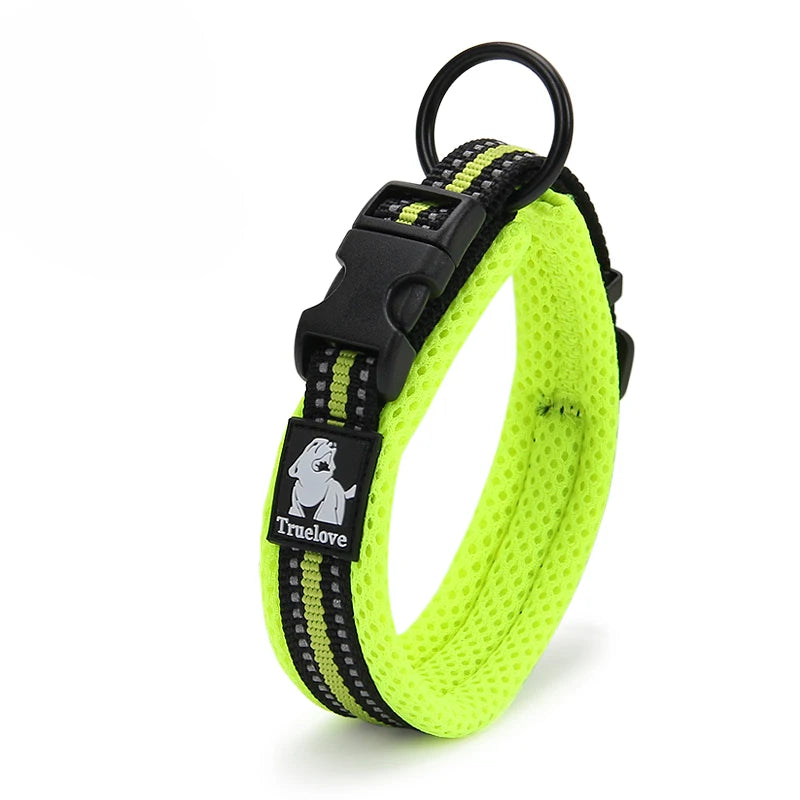Winhyepet Nylon Padded Dog Walking Collar With Buckle