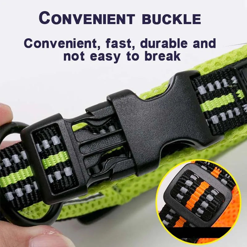 Winhyepet Nylon Padded Dog Walking Collar With Buckle