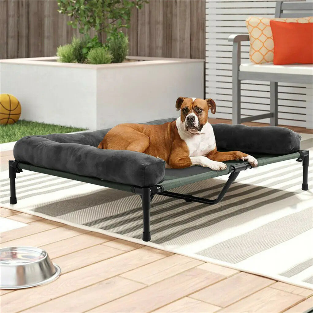 BINGOPAW Elevated Pet Lounger Bed For Dogs And Cats With Detachable Plush Bolster