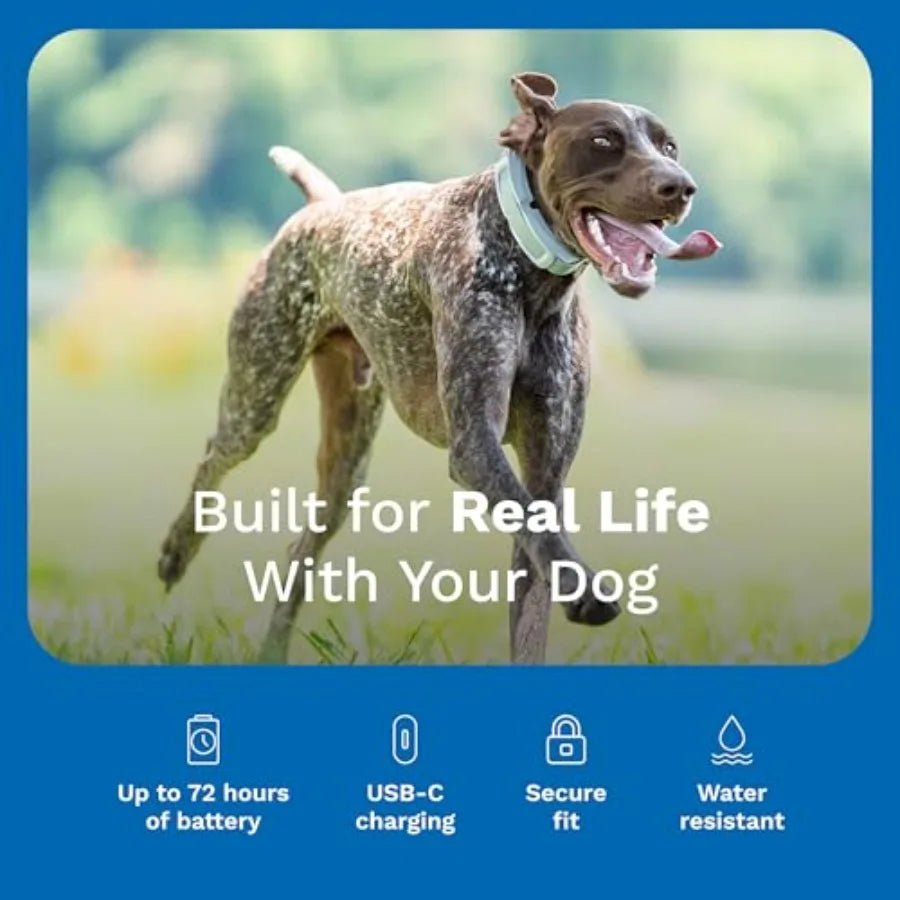 Wireless GPS Dog Fence Tracking Collar Waterproof App Controlled