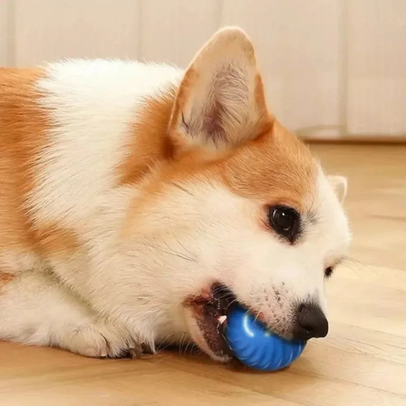 Automatic Moving Bouncing Ball USB Interactive Puppy Dog Toy