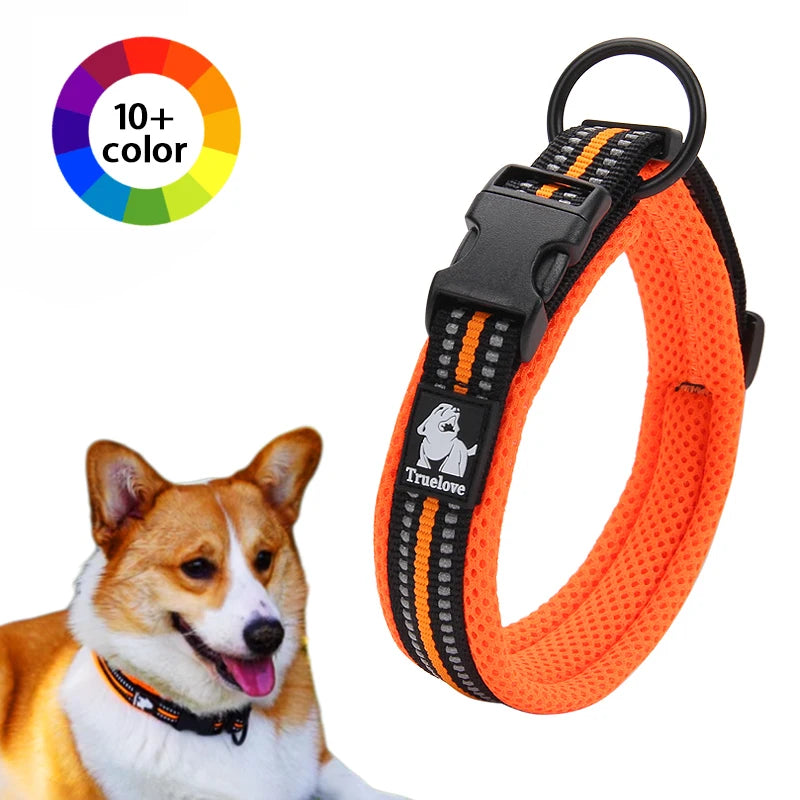 Winhyepet Nylon Padded Dog Walking Collar With Buckle