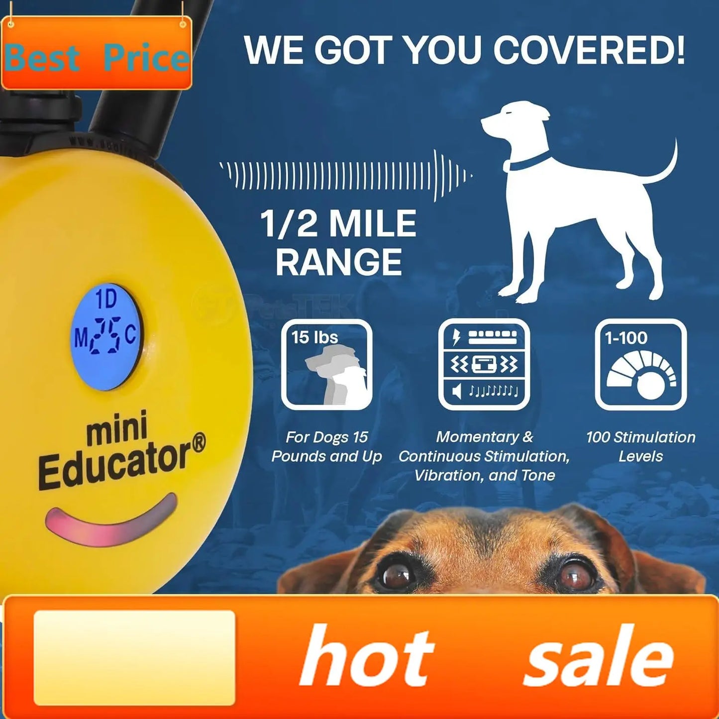 ET-300 Mini Dog Training E Collar With Remote Waterproof Half Mile 100 Levels