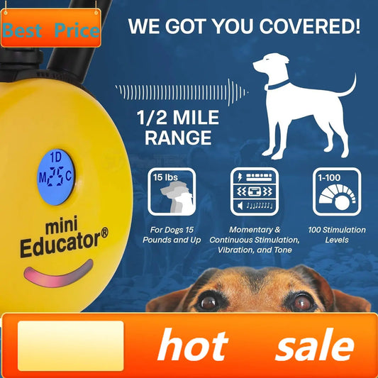 ET-300 Mini Dog Training E Collar With Remote Waterproof Half Mile 100 Levels