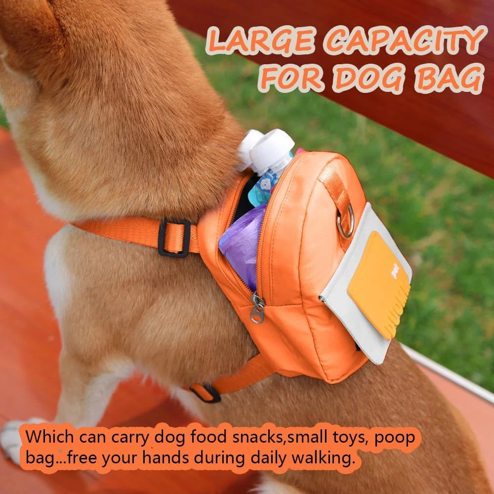 Cute Adjustable Pet Backpack With Harness Leash And Treat Pouch