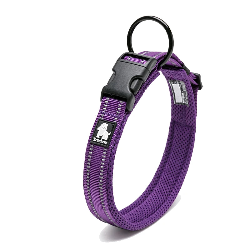 Winhyepet Nylon Padded Dog Walking Collar With Buckle