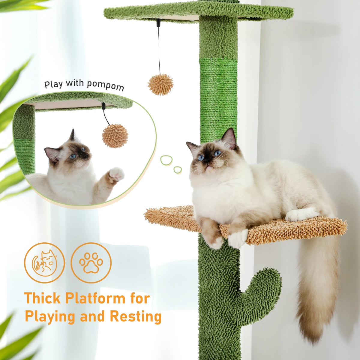PAWZ Road Floor To Ceiling Cat Tower With Scratching Post
