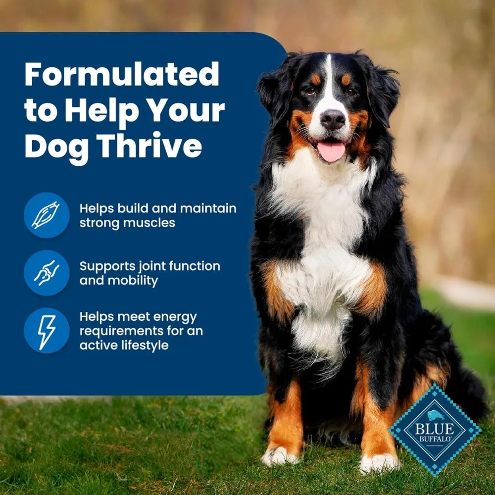 Blue Buffalo Life Protection Adult Dry Dog Food Chicken Rice