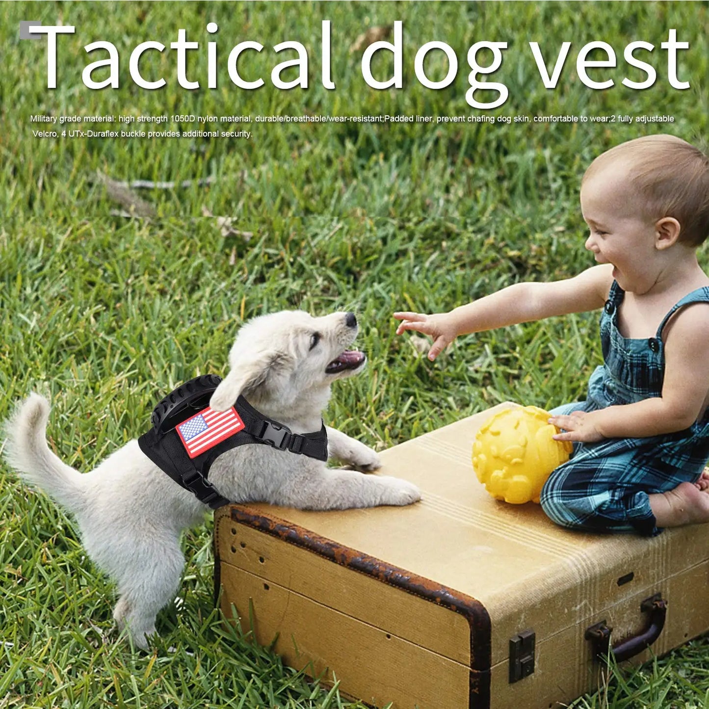 PETRAVEL Tactical Puppy Harness Leash Set For Small Dogs Training