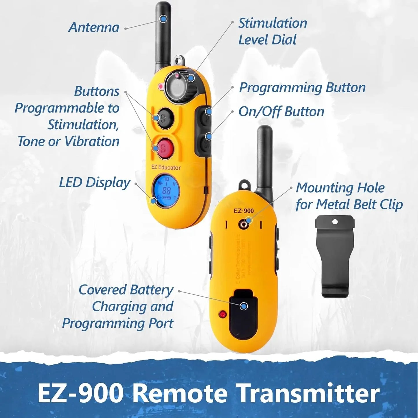EZ-900 E Collar For Dog Training With Remote 256 Levels