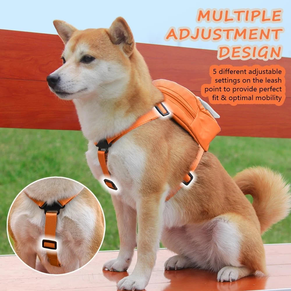 Cute Adjustable Pet Backpack With Harness Leash And Treat Pouch