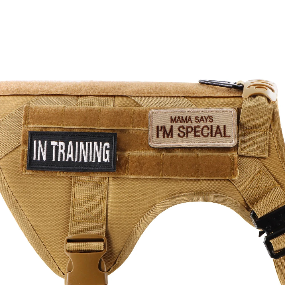Petravel 12 Piece Personalized Tactical Patch Bundle For Dog Vest