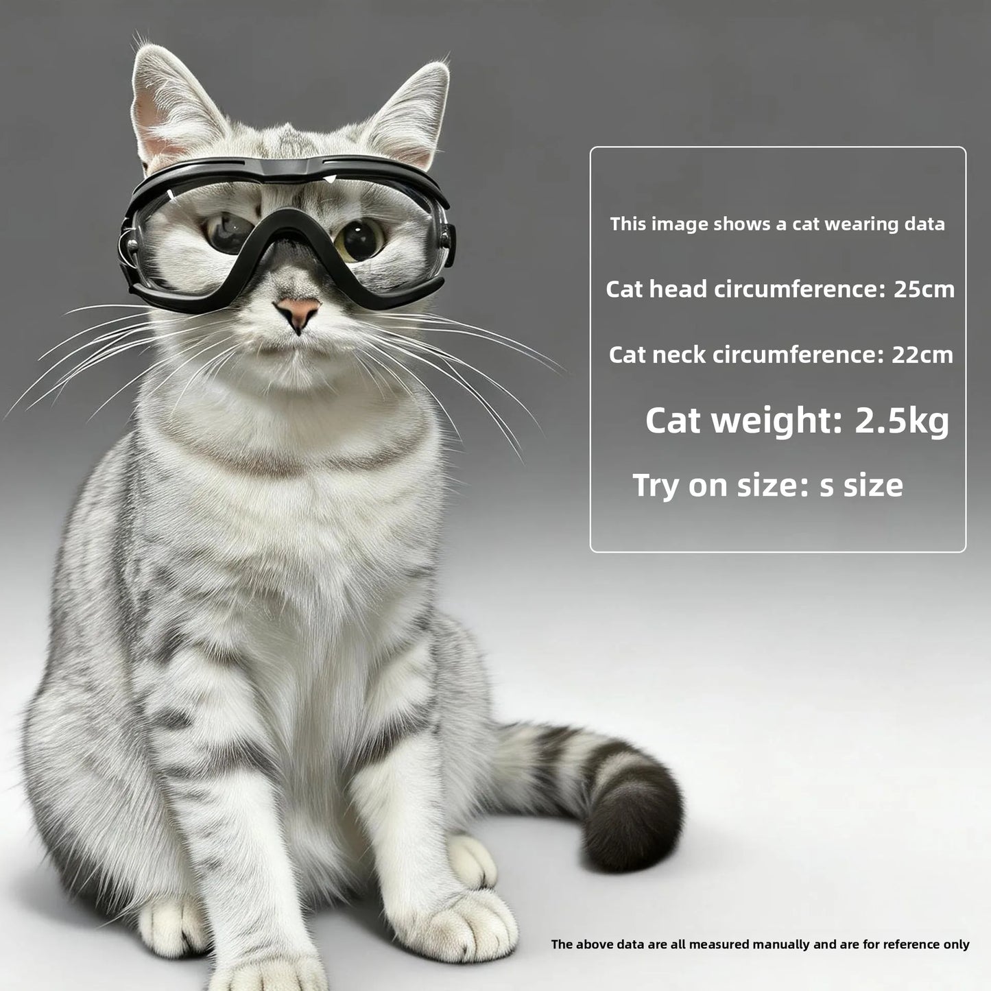 Pet Goggles For Cats And Dogs Sunglasses And Carrier