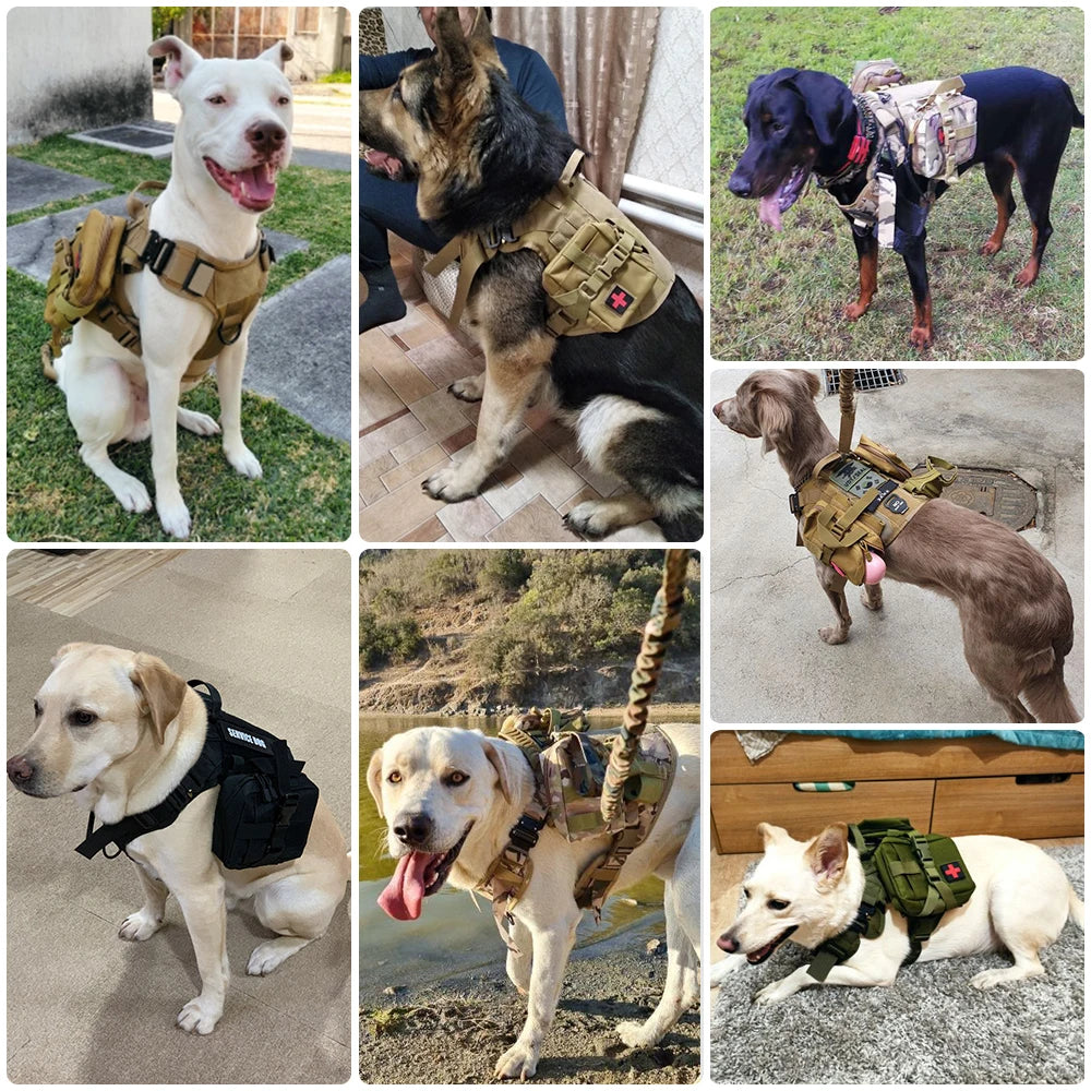 Tactical Dog Harness And Leash Set For Large Outdoor Dogs