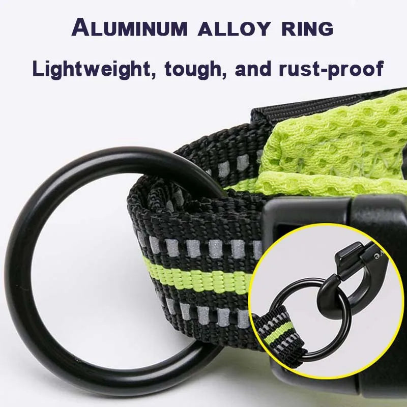 Winhyepet Nylon Padded Dog Walking Collar With Buckle