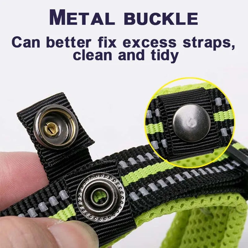 Winhyepet Nylon Padded Dog Walking Collar With Buckle