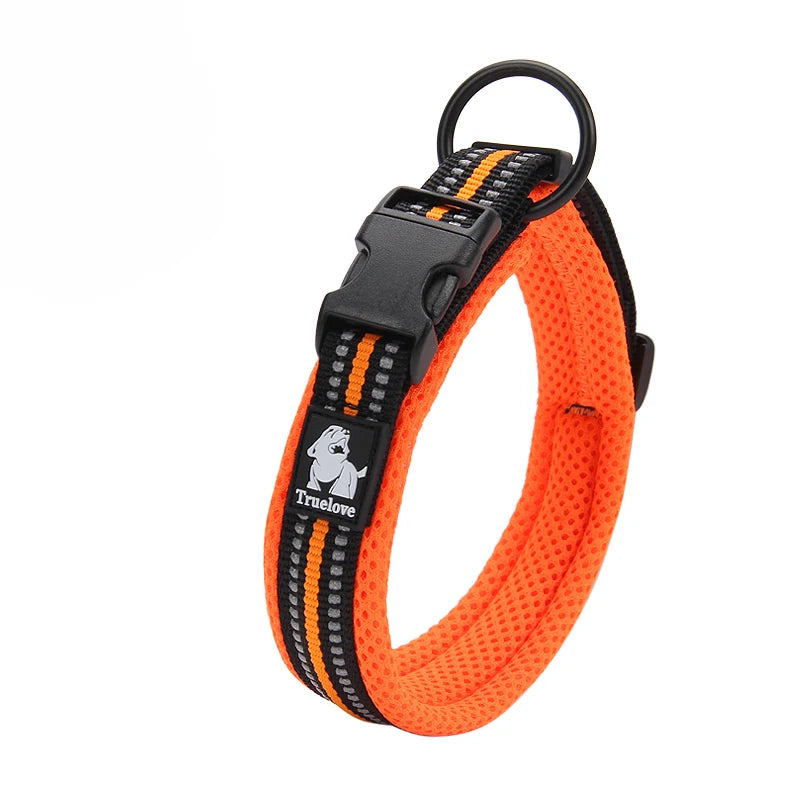 Winhyepet Nylon Padded Dog Walking Collar With Buckle