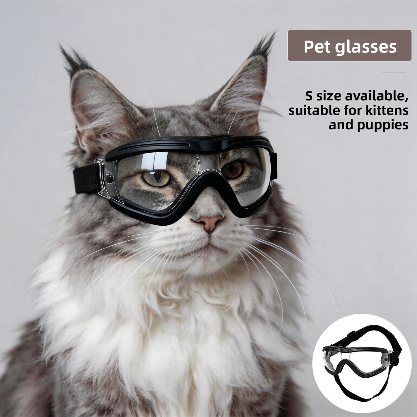 Pet Goggles For Cats And Dogs Sunglasses And Carrier