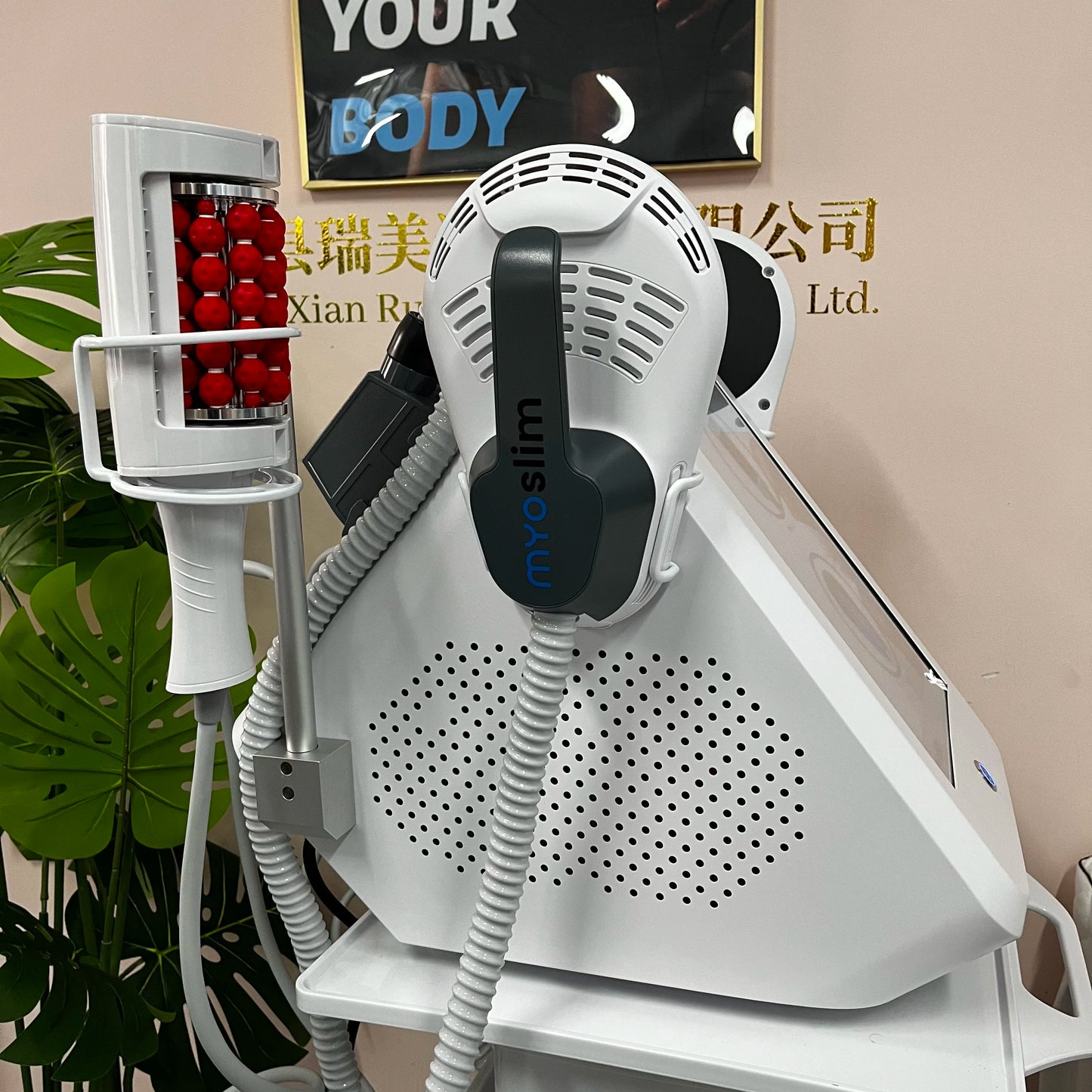 MYOSLIM 360 Degree Vacuum Massage Roller Cellulite And Body Slimming