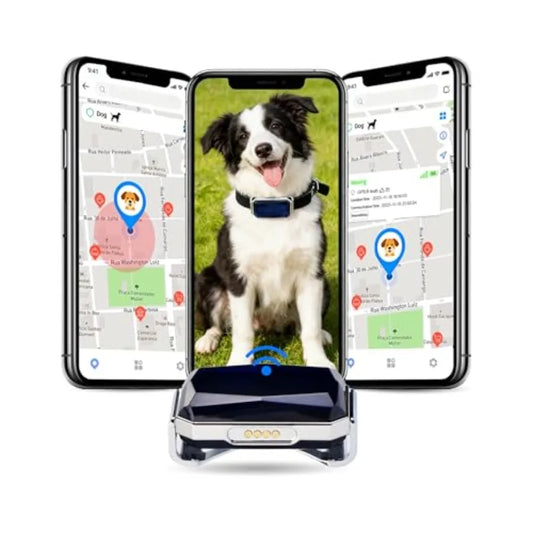 Smart GPS Dog Tracker With Virtual Fence Live Tracking And 10 Day Battery Life