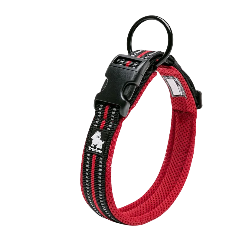 Winhyepet Nylon Padded Dog Walking Collar With Buckle