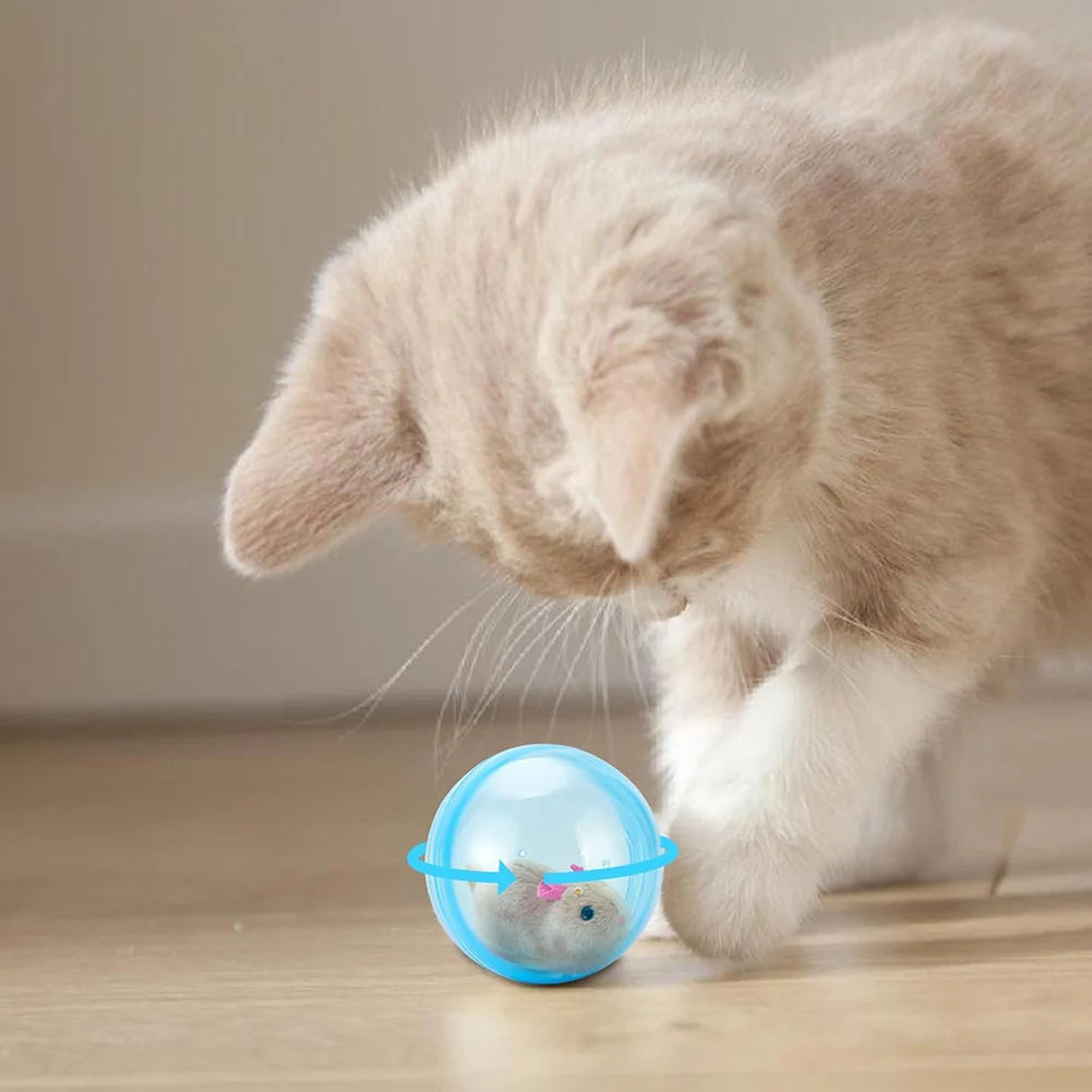 Electric Transparent Rolling Hamster Ball Small Pet Exercise Toy