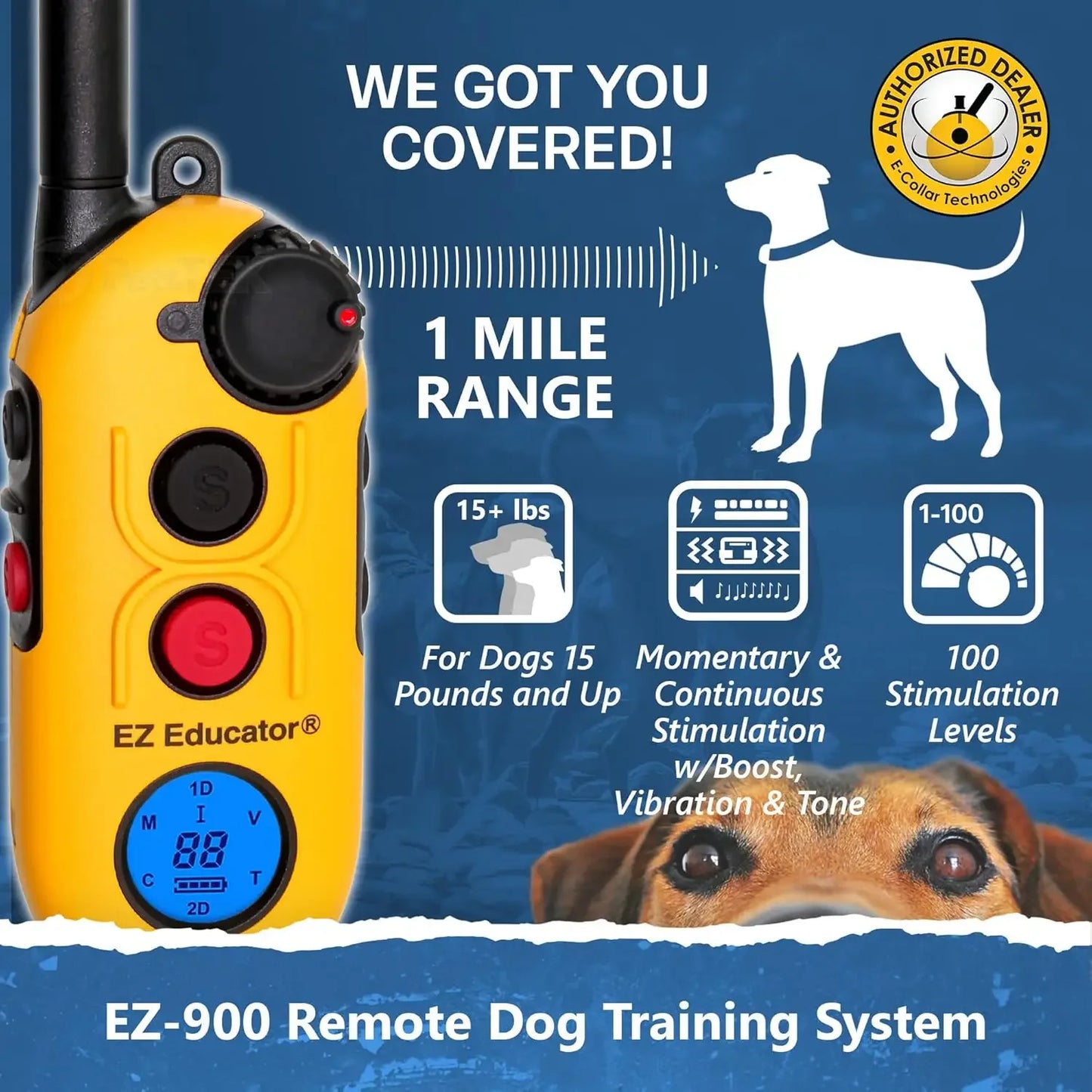 EZ-900 E Collar For Dog Training With Remote 256 Levels
