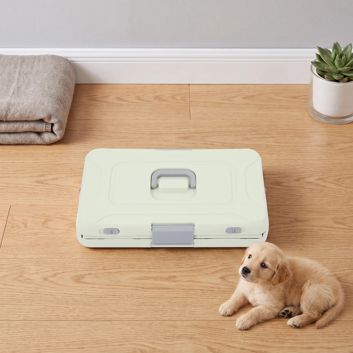 Foldable Hard Shell Pet Carrier Cage With Breathable Ventilation