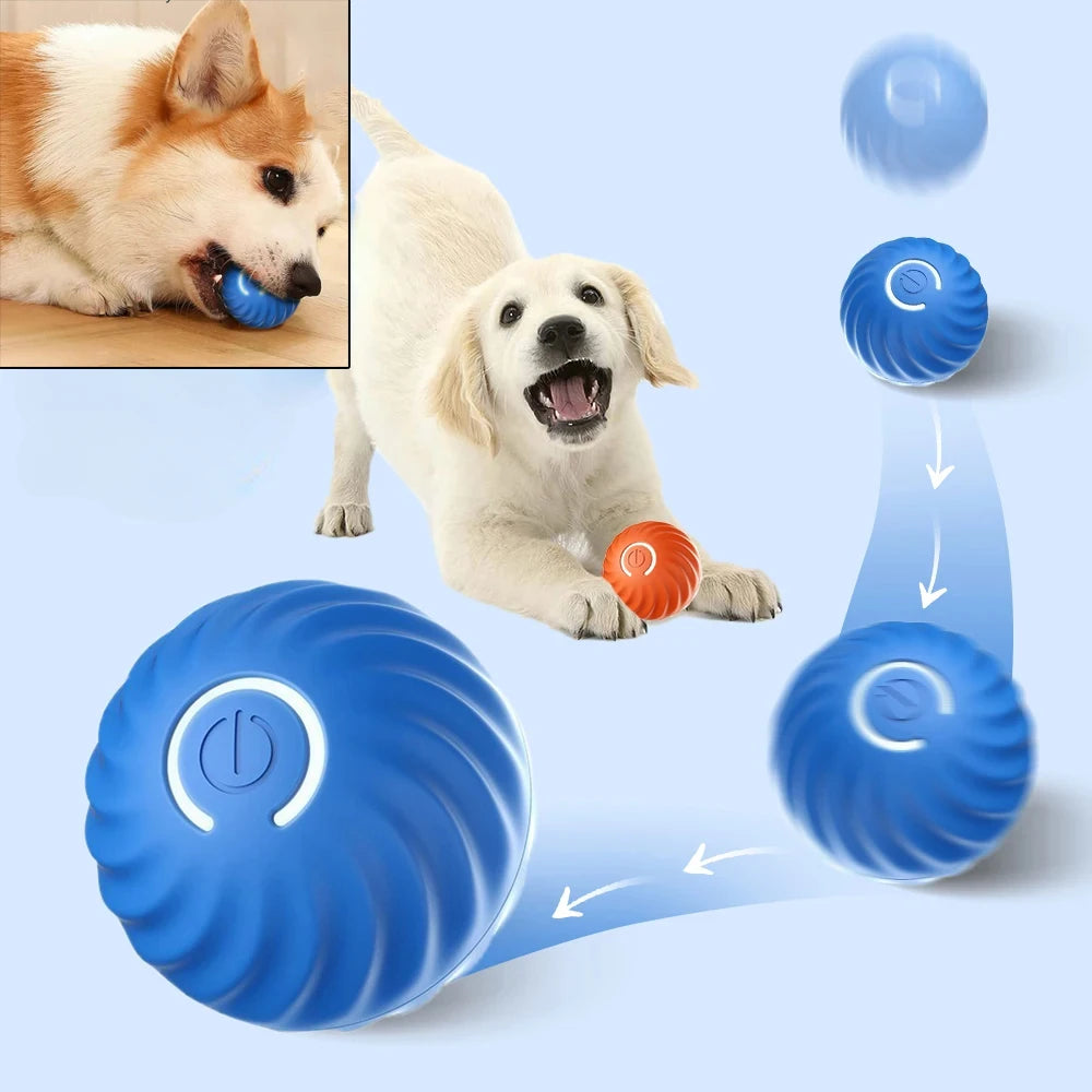 Automatic Moving Bouncing Ball USB Interactive Puppy Dog Toy