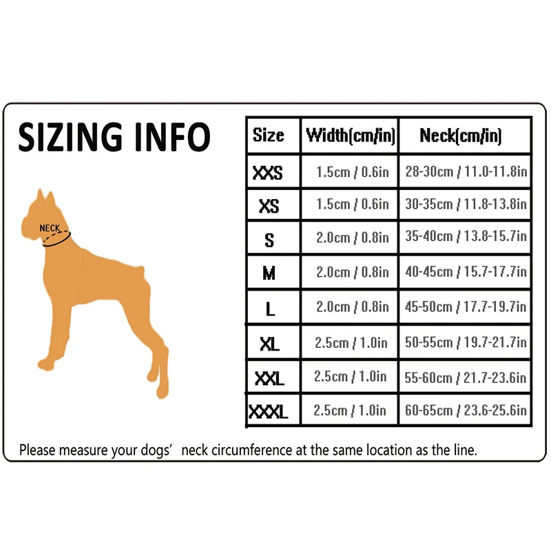 Winhyepet Nylon Padded Dog Walking Collar With Buckle