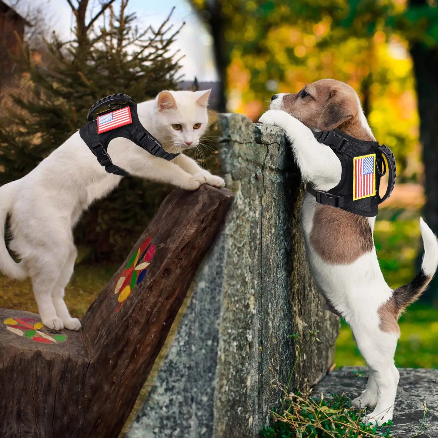 PETRAVEL Tactical Puppy Harness Leash Set For Small Dogs Training